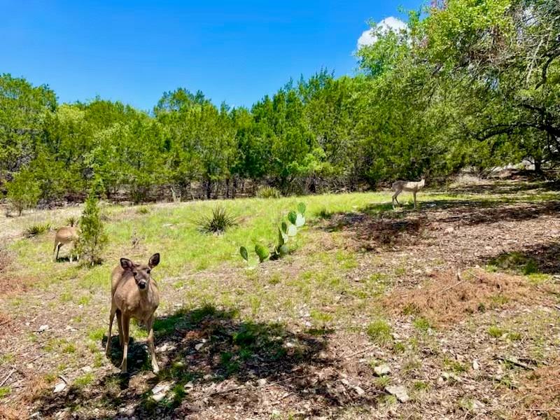 21422 Patton Ave, Lago Vista, TX 78645