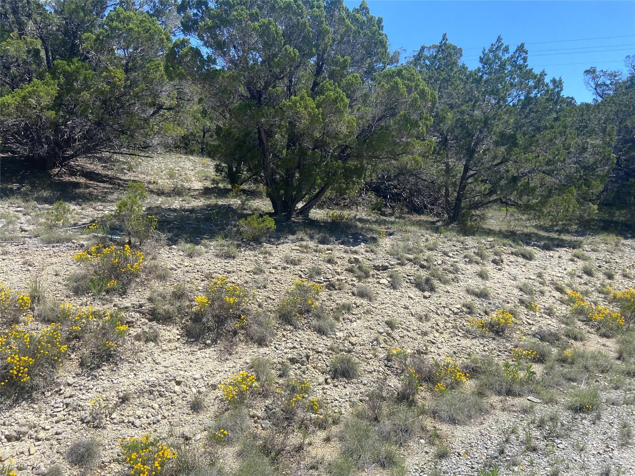 20702 Appaloosa Trl, Lago Vista, TX 78645