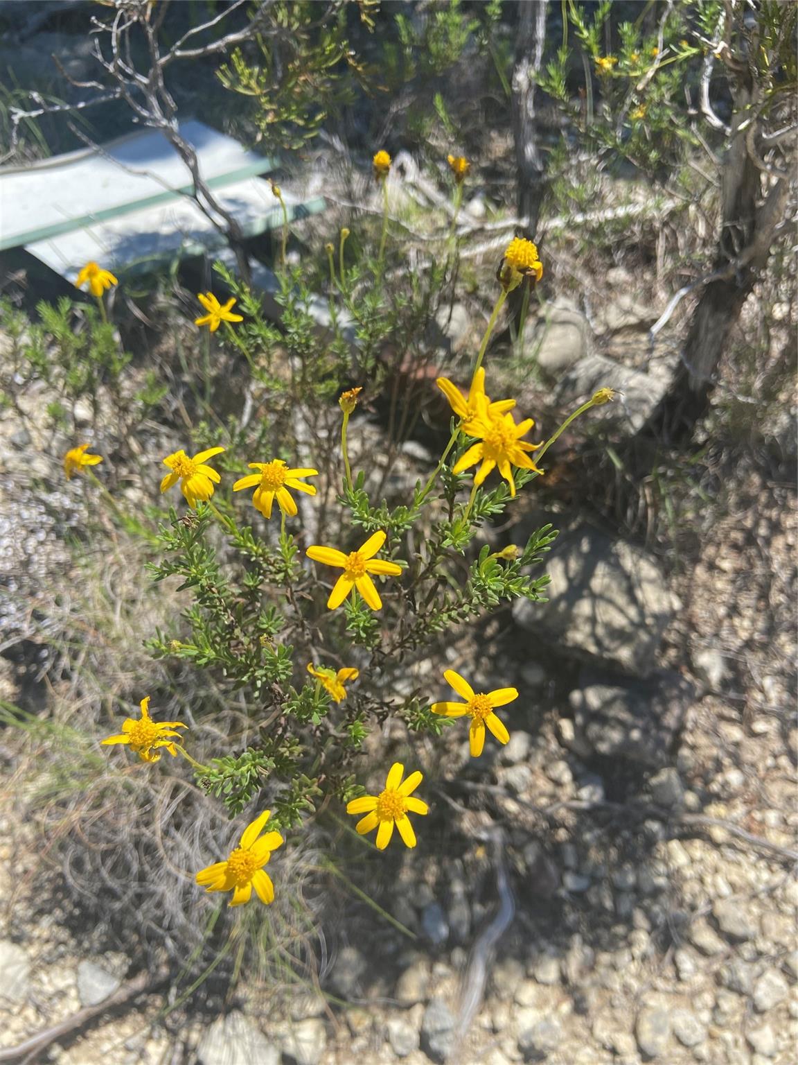 20702 Appaloosa Trl, Lago Vista, TX 78645