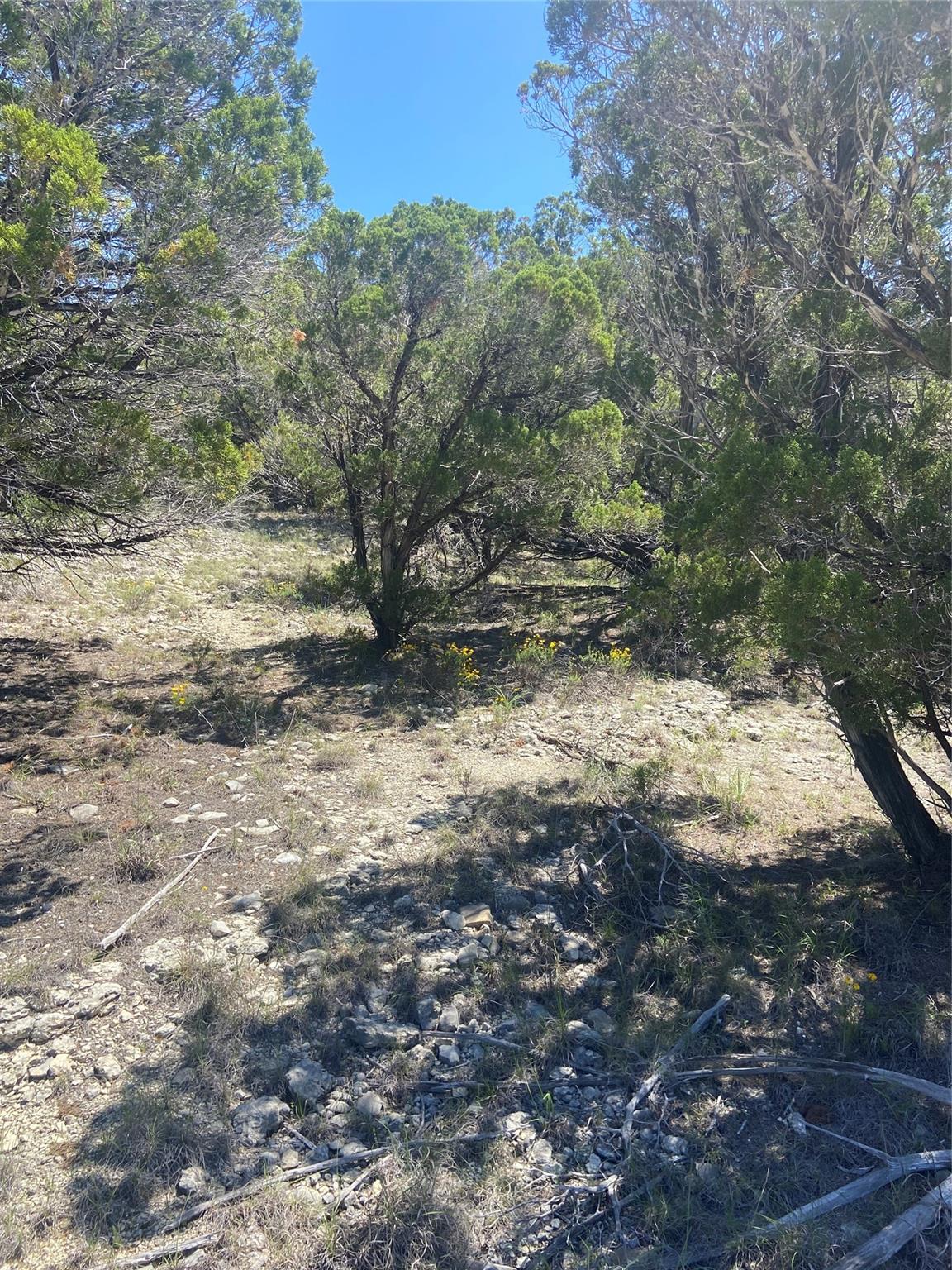 20702 Appaloosa Trl, Lago Vista, TX 78645