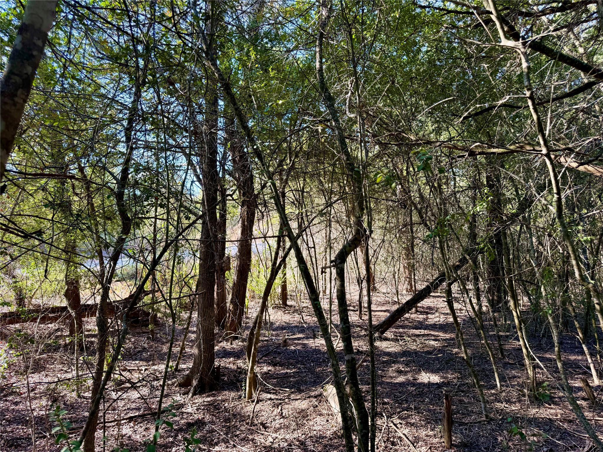 TBD Lot 1233 Hanauma Dr, Bastrop, TX 78602