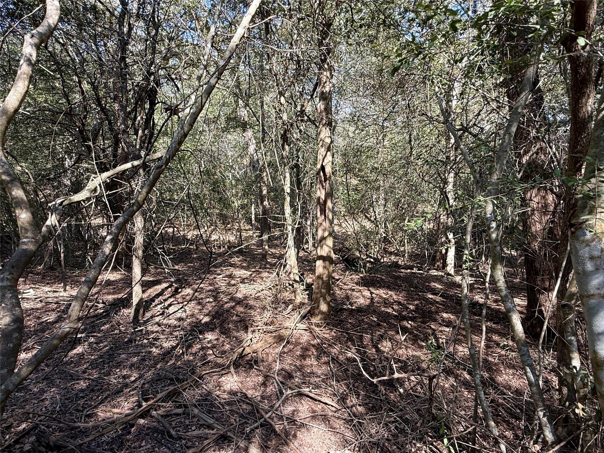 TBD Lot 1233 Hanauma Dr, Bastrop, TX 78602