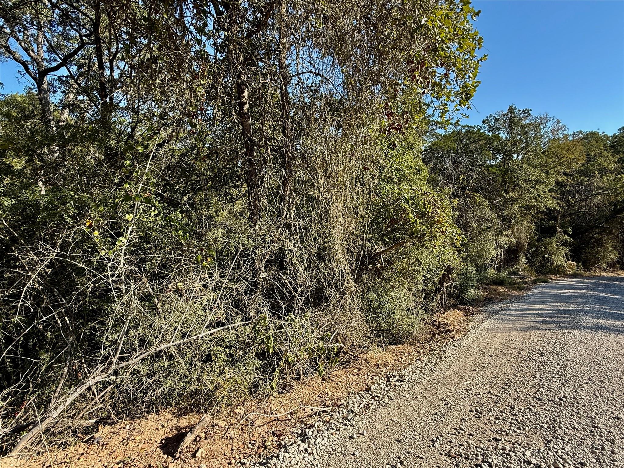 TBD Lot 1233 Hanauma Dr, Bastrop, TX 78602