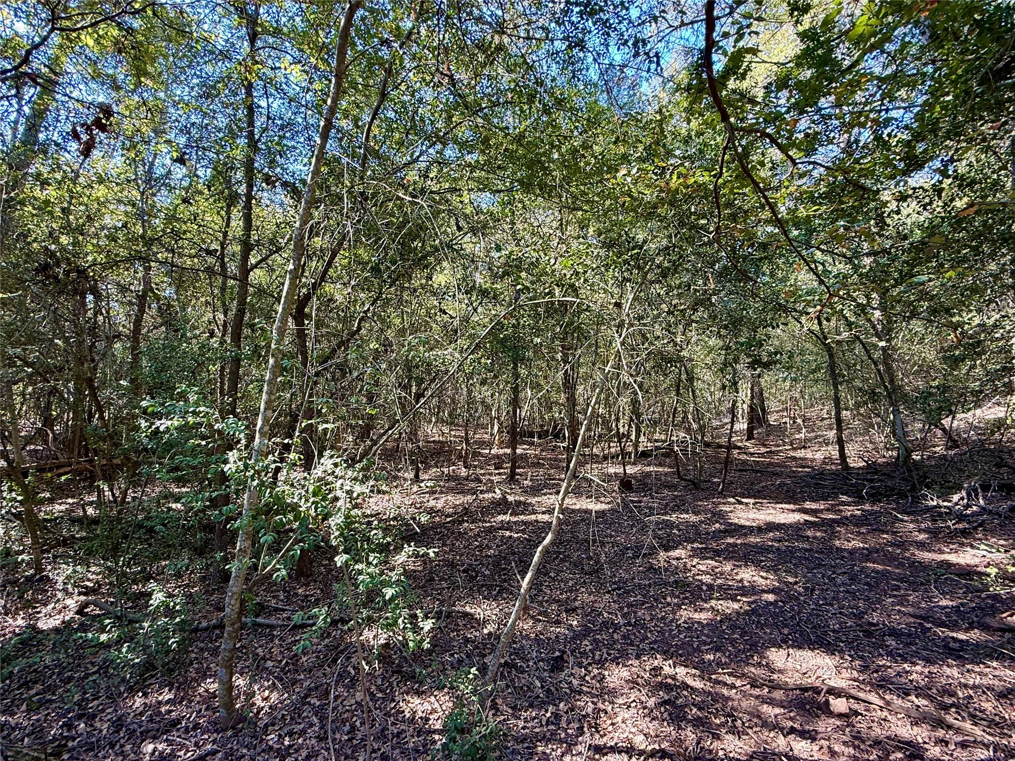 TBD Lot 1233 Hanauma Dr, Bastrop, TX 78602