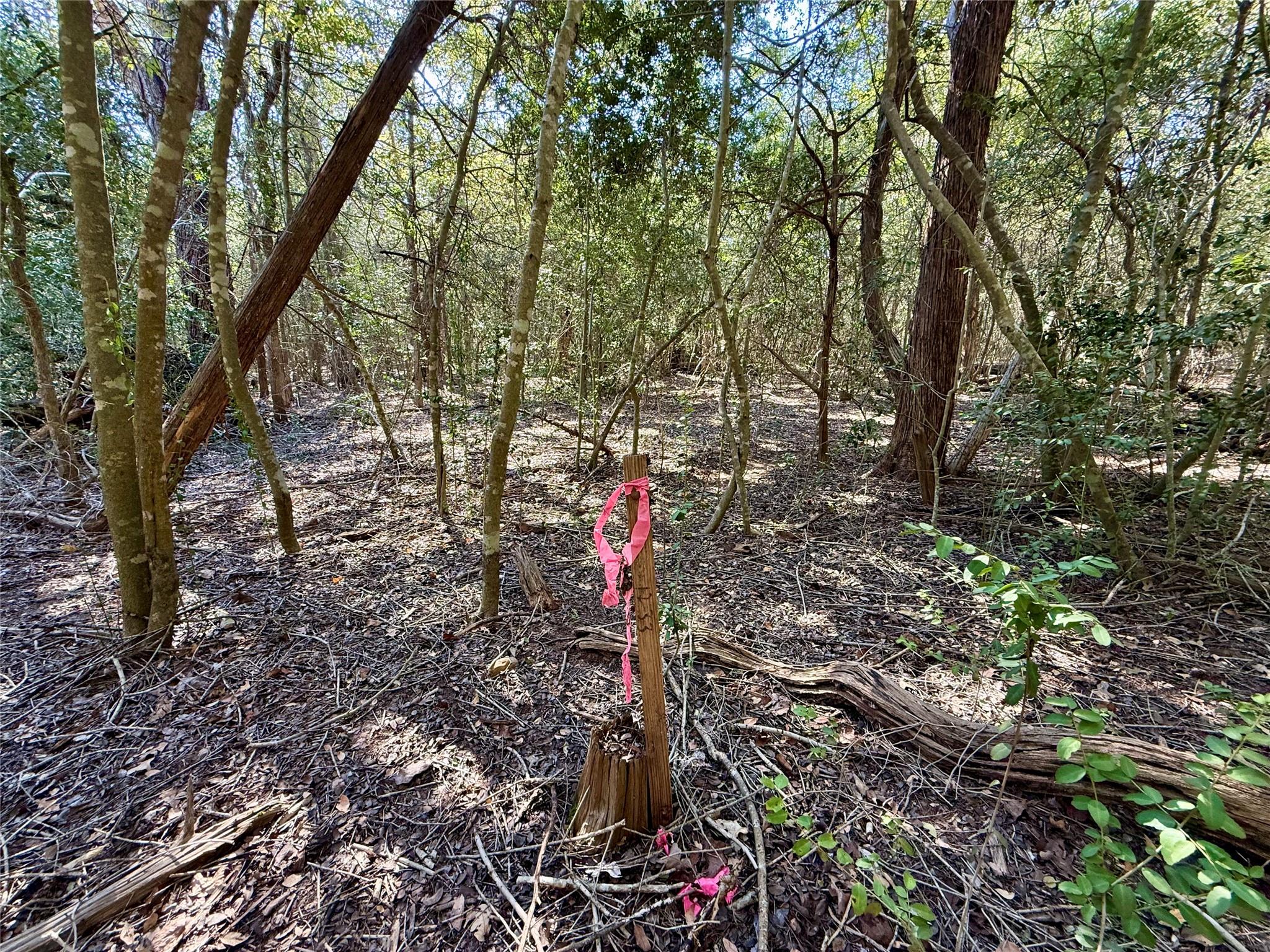 TBD Lot 1233 Hanauma Dr, Bastrop, TX 78602