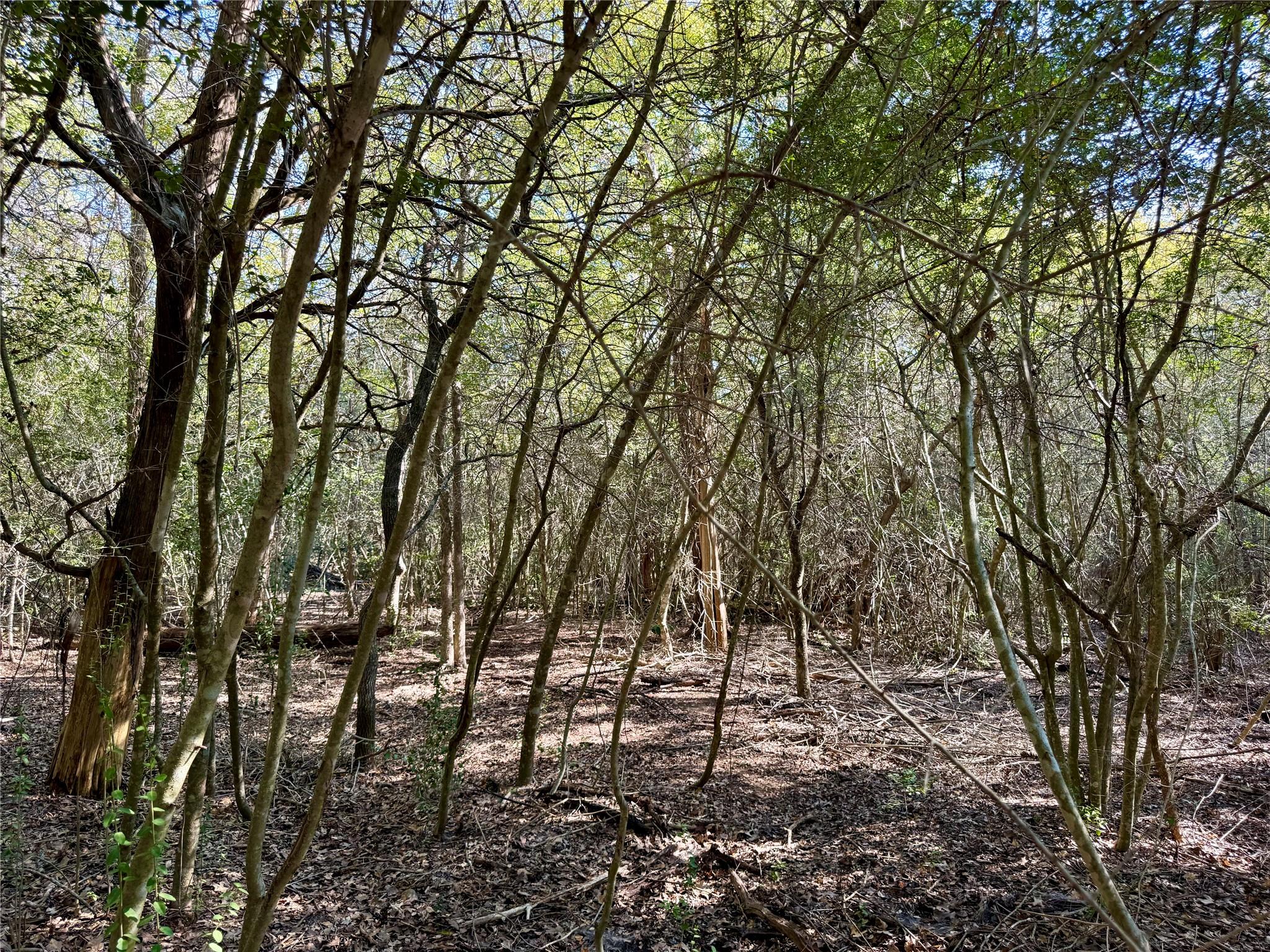 TBD Lot 1233 Hanauma Dr, Bastrop, TX 78602