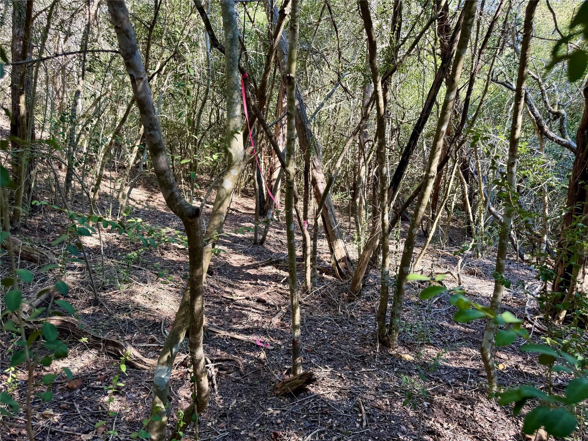 TBD Lot 1232 Hanauma Dr, Bastrop, TX 78602