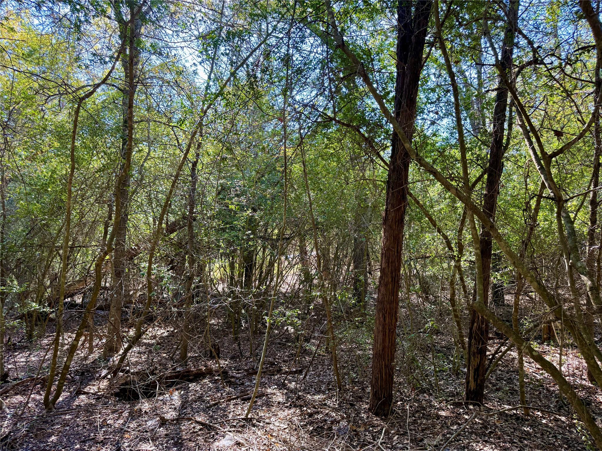 TBD Lot 1232 Hanauma Dr, Bastrop, TX 78602