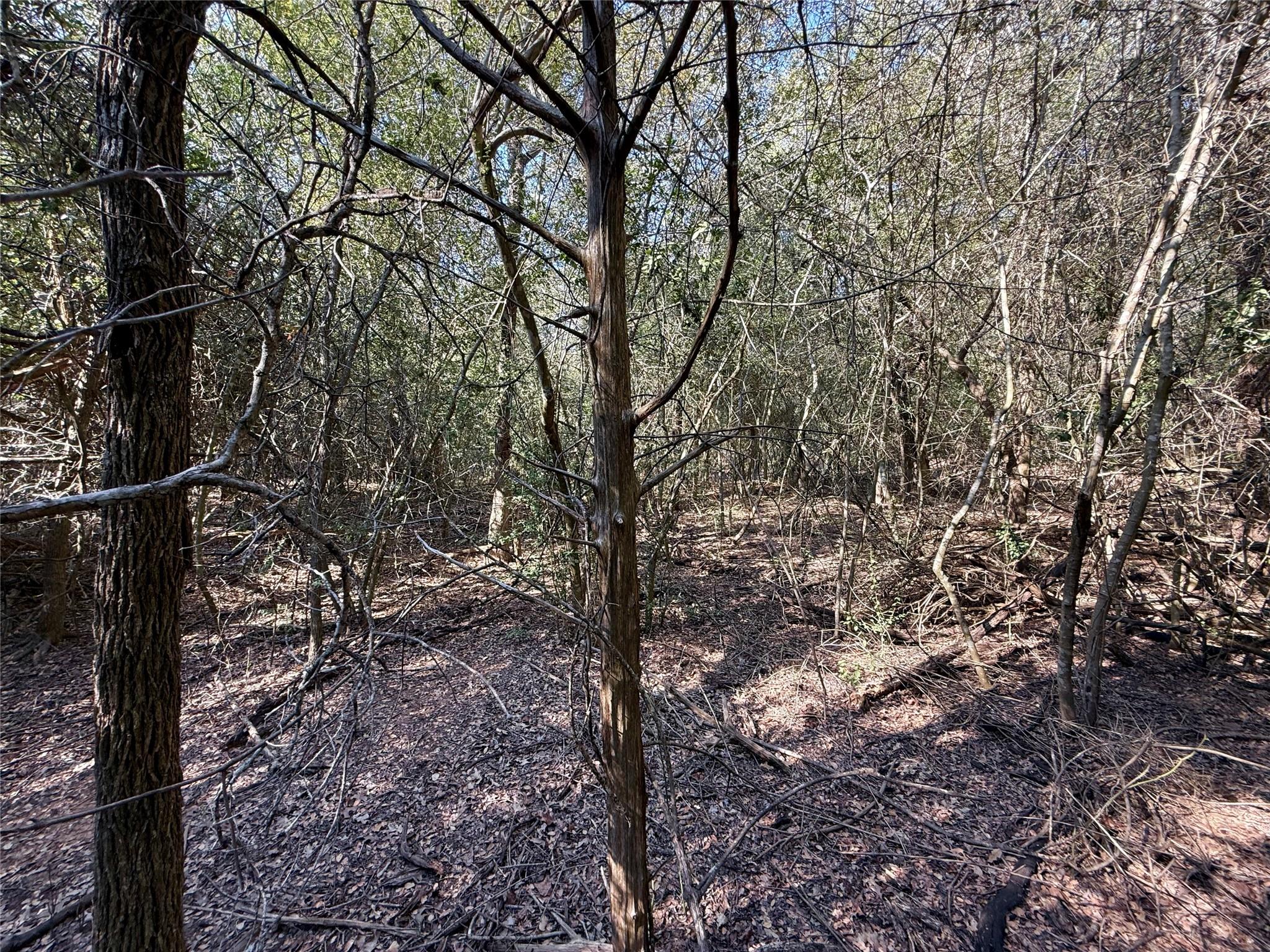 TBD Lot 1232 Hanauma Dr, Bastrop, TX 78602