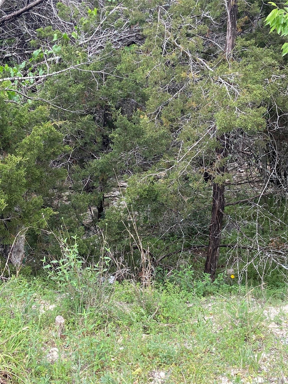 5615 Clubhouse Dr, Lago Vista, TX 78645