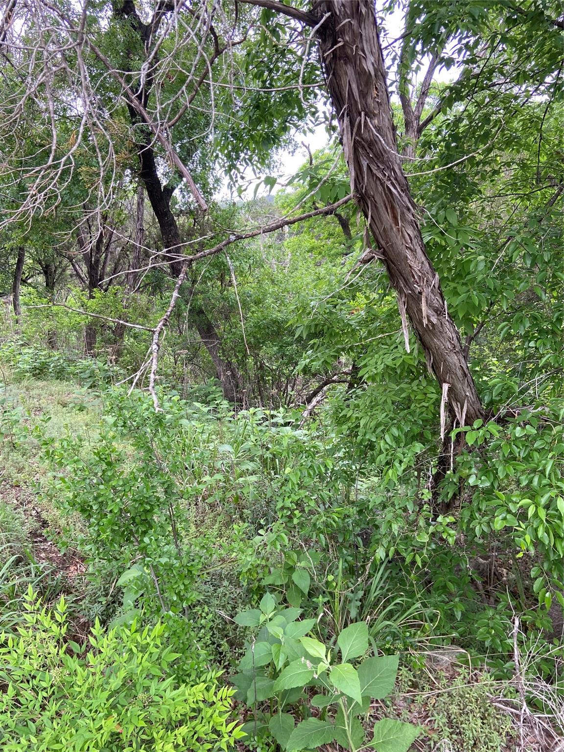 20901 Park Dr, Lago Vista, TX 78645