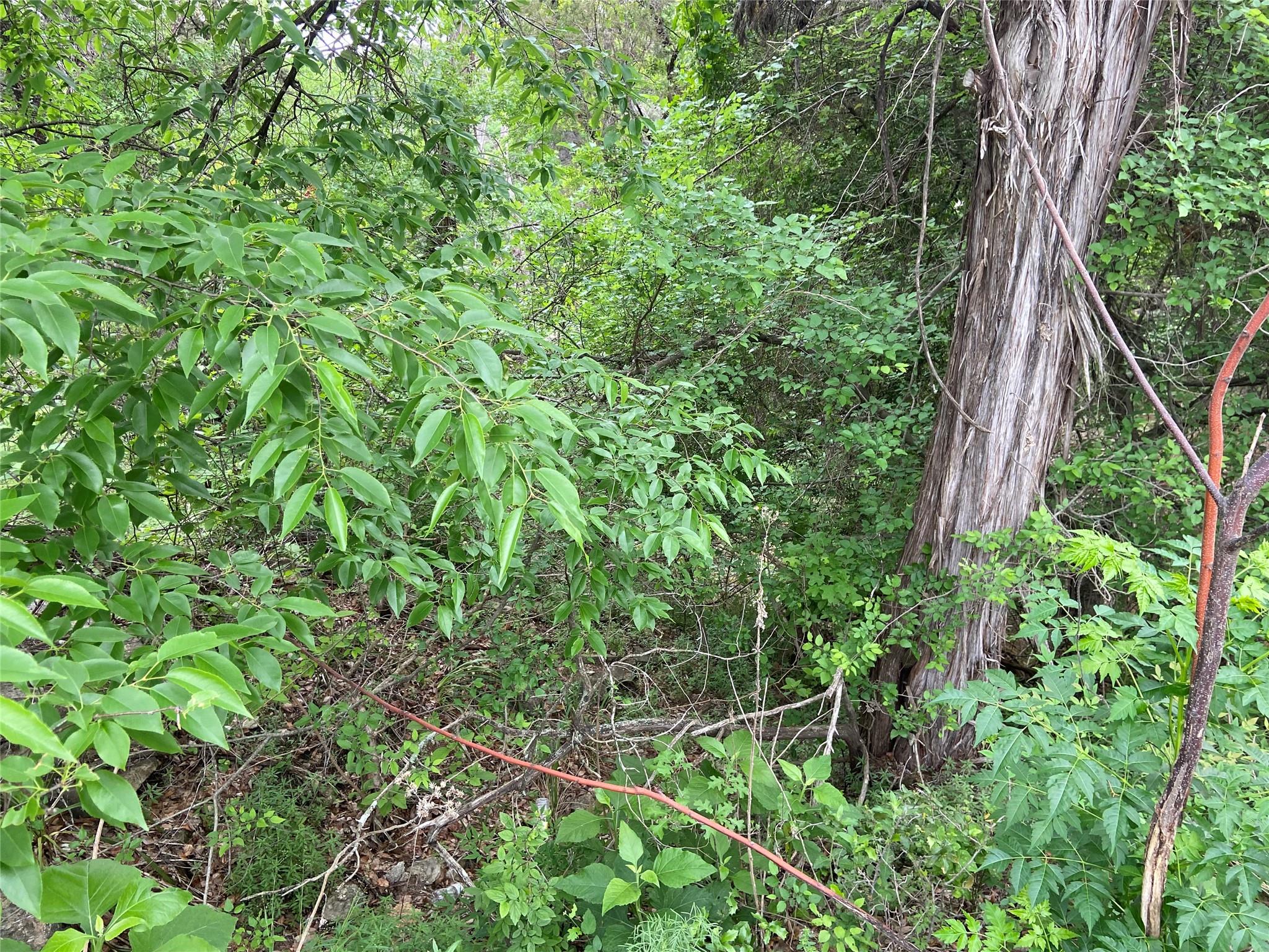 20901 Park Dr, Lago Vista, TX 78645