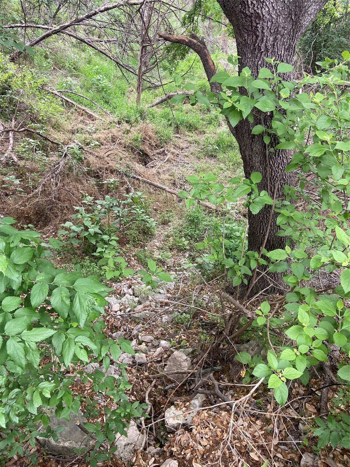 20901 Park Dr, Lago Vista, TX 78645