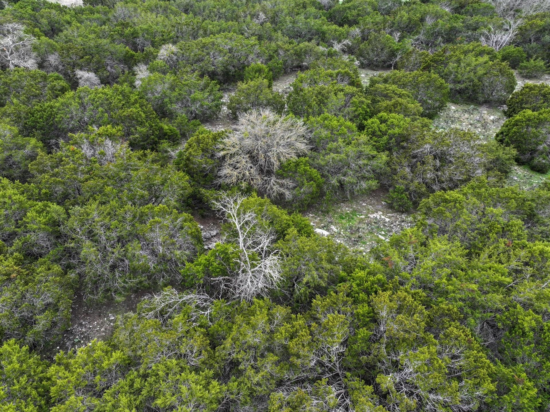 000 Rocky Ridge Dr, Burnet, TX 78611