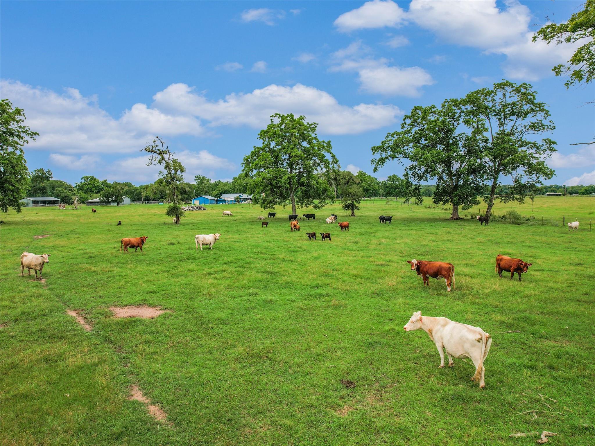 138 St. James Pl, Bastrop, TX 78602