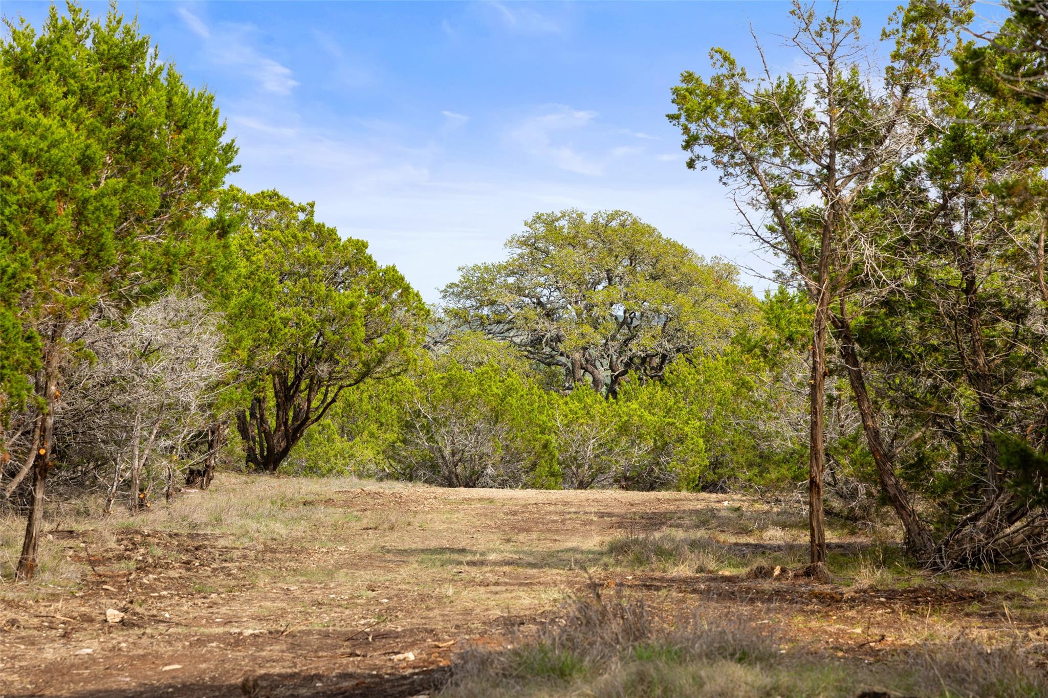 2966 RM 165, Dripping Springs, TX 78620