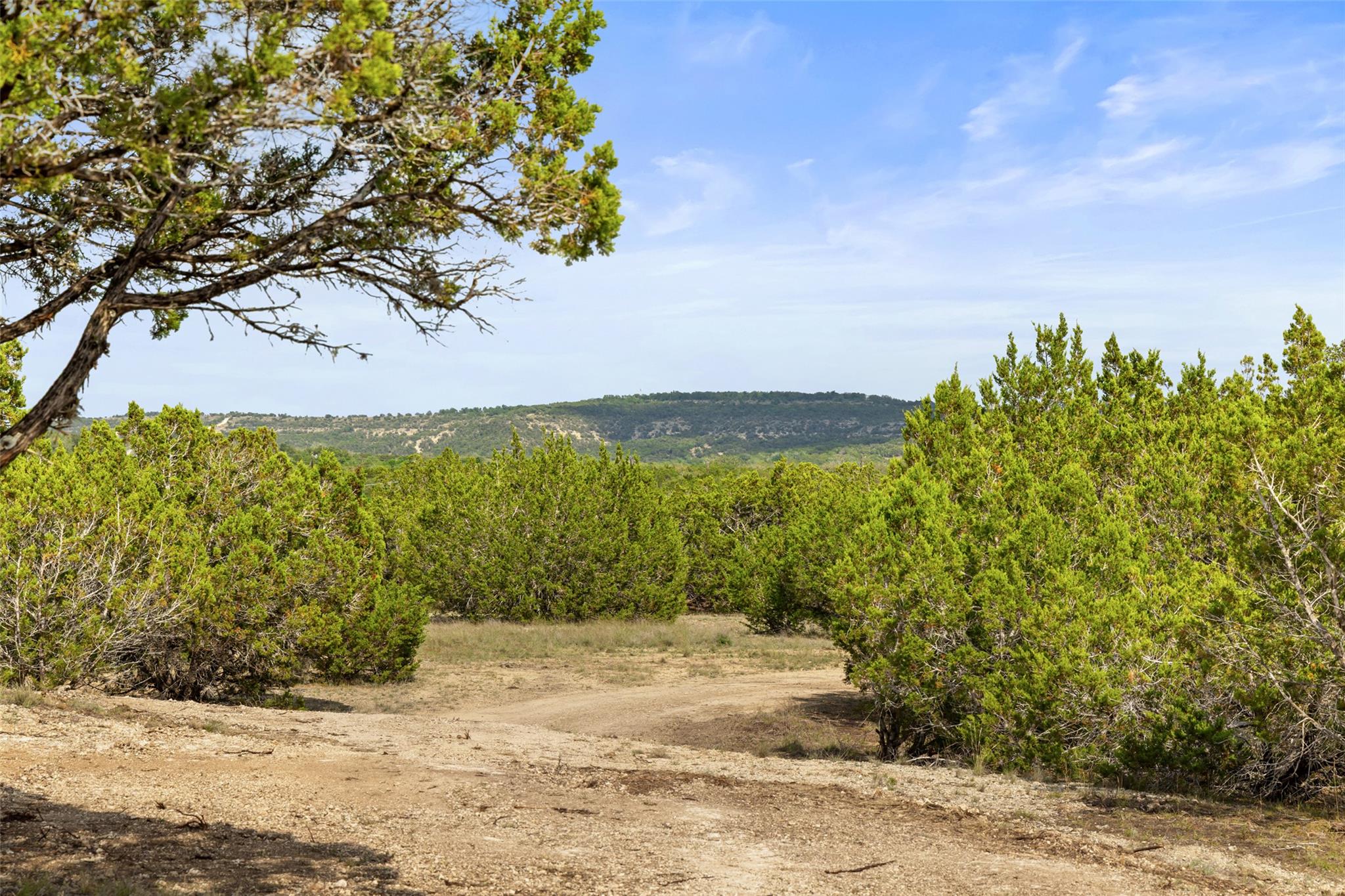 2966 RM 165, Dripping Springs, TX 78620