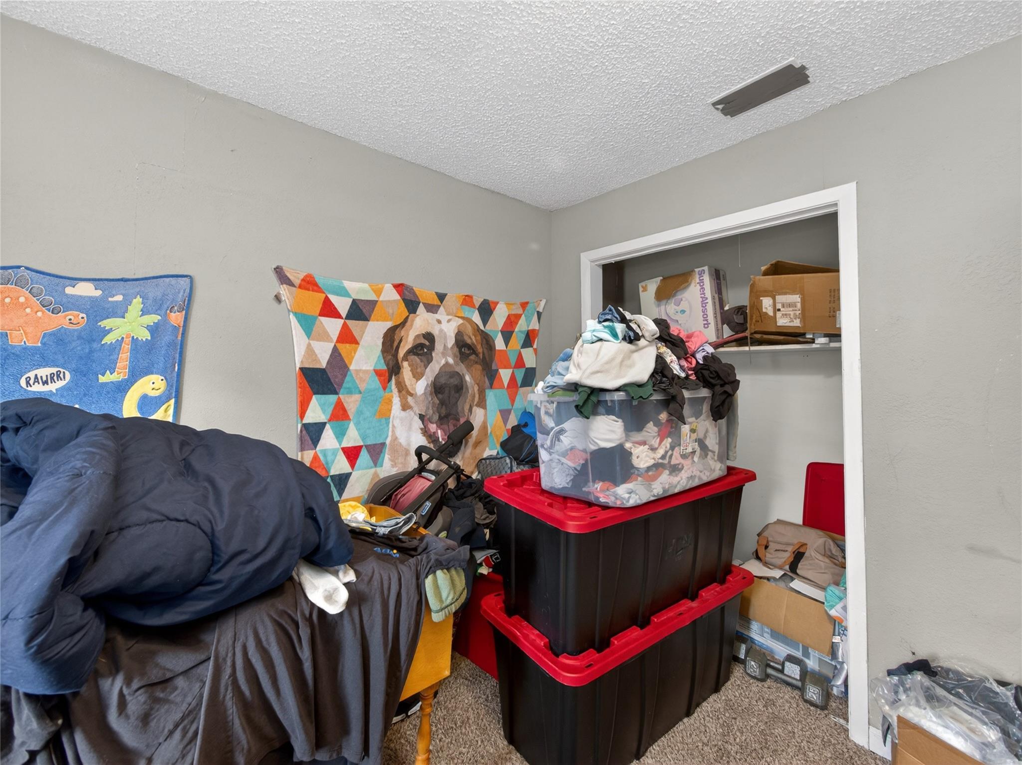 20417 Ed Acklin Rd, Manor, TX 78653