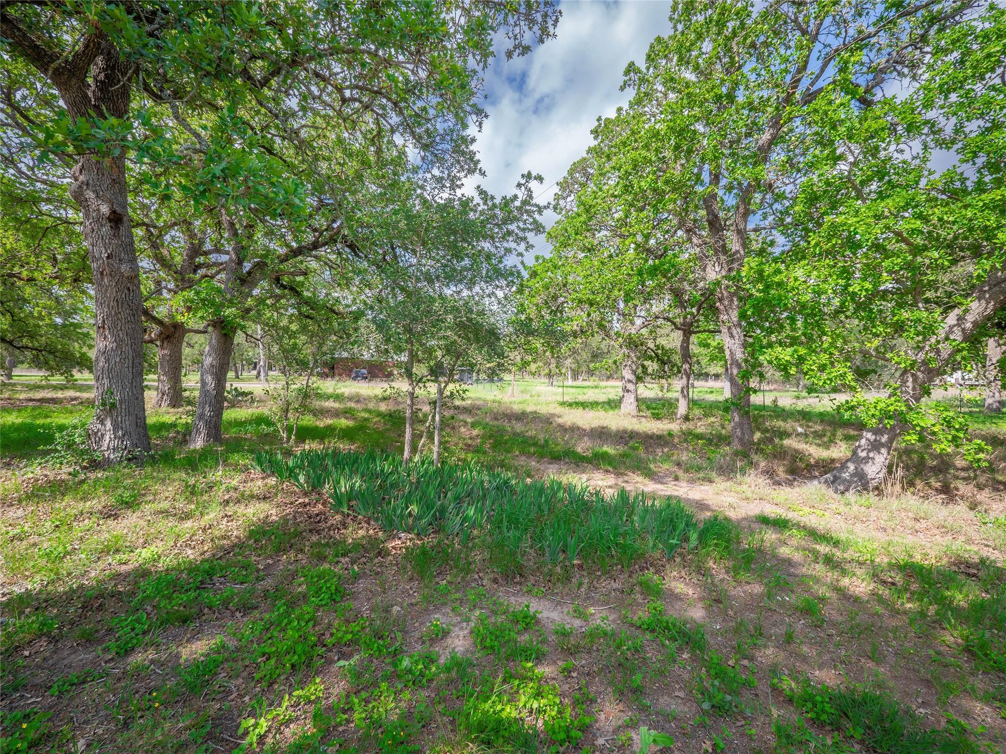 20417 Ed Acklin Rd, Manor, TX 78653
