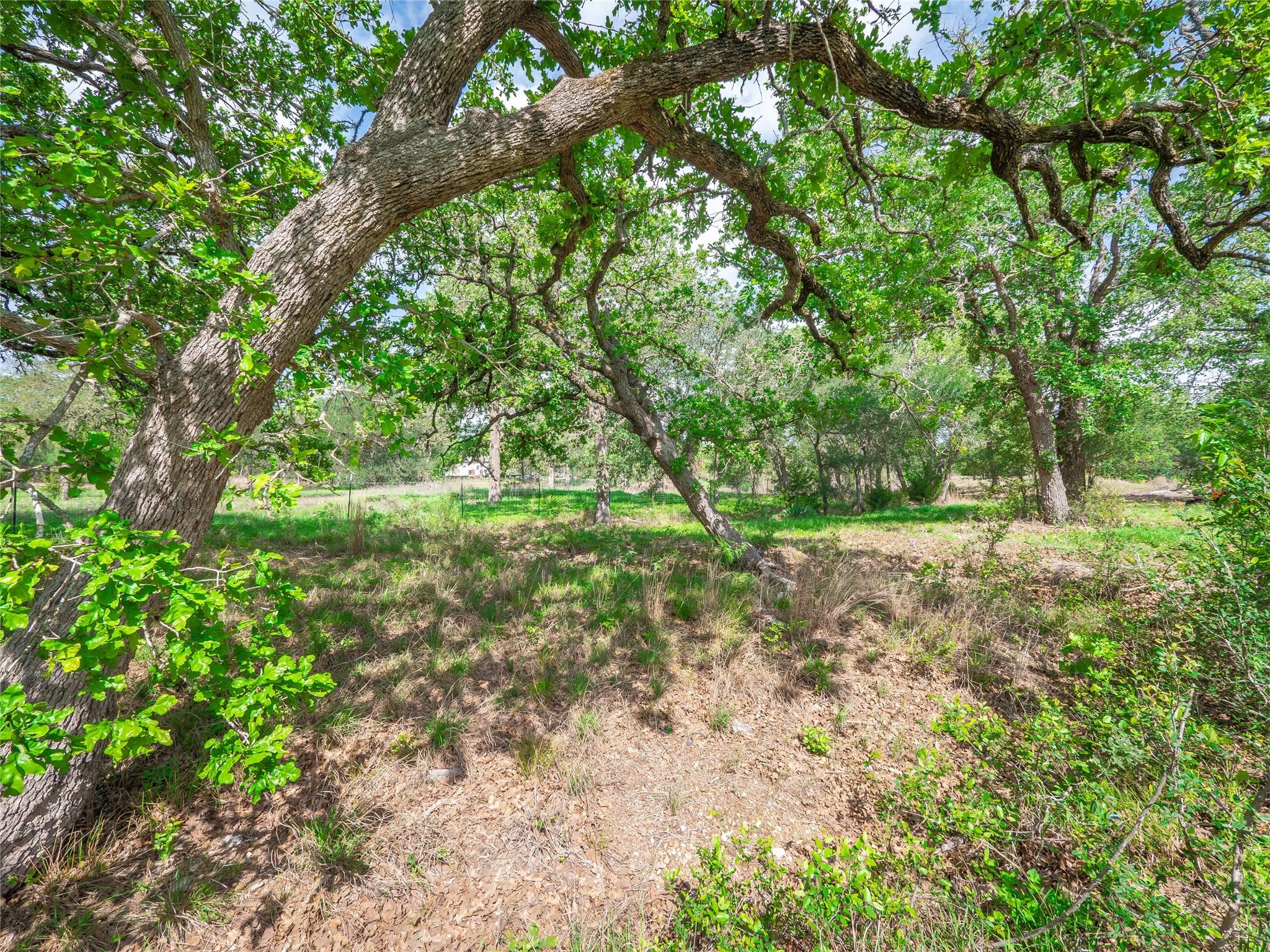 20417 Ed Acklin Rd, Manor, TX 78653