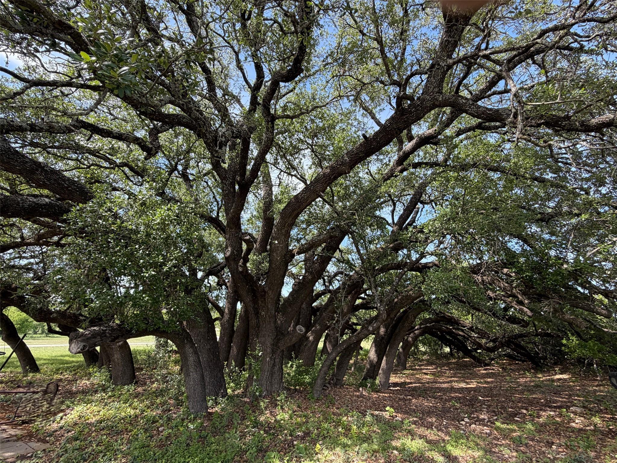 397 Private Road 3072, Lampasas, TX 76550