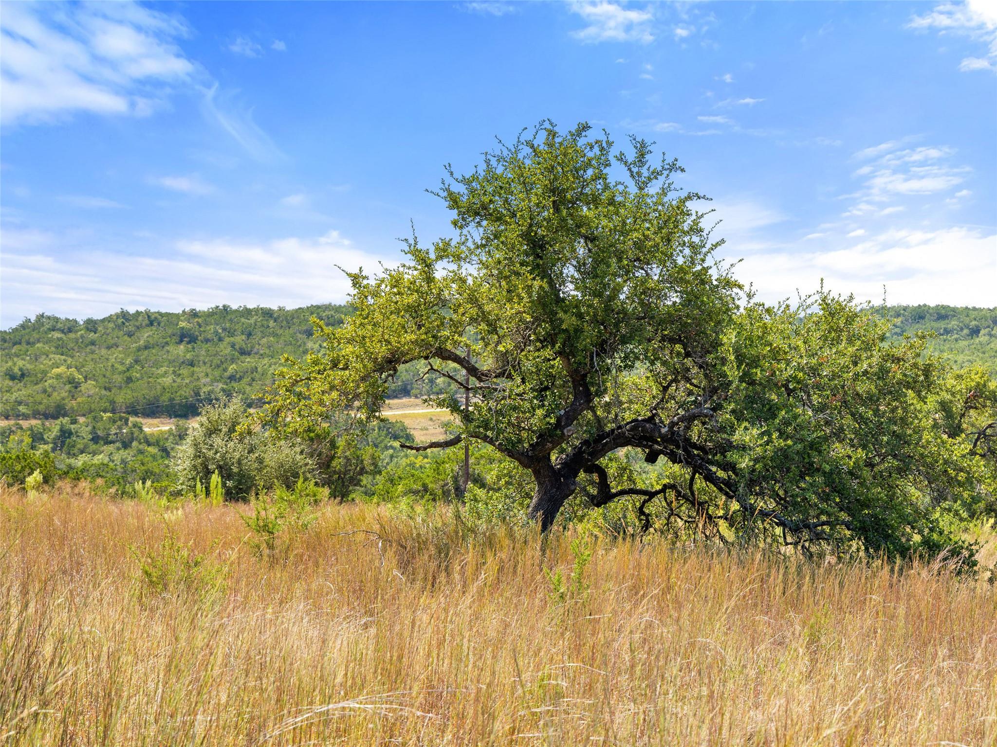 5818 Ranch Road 165, Blanco, TX 78606