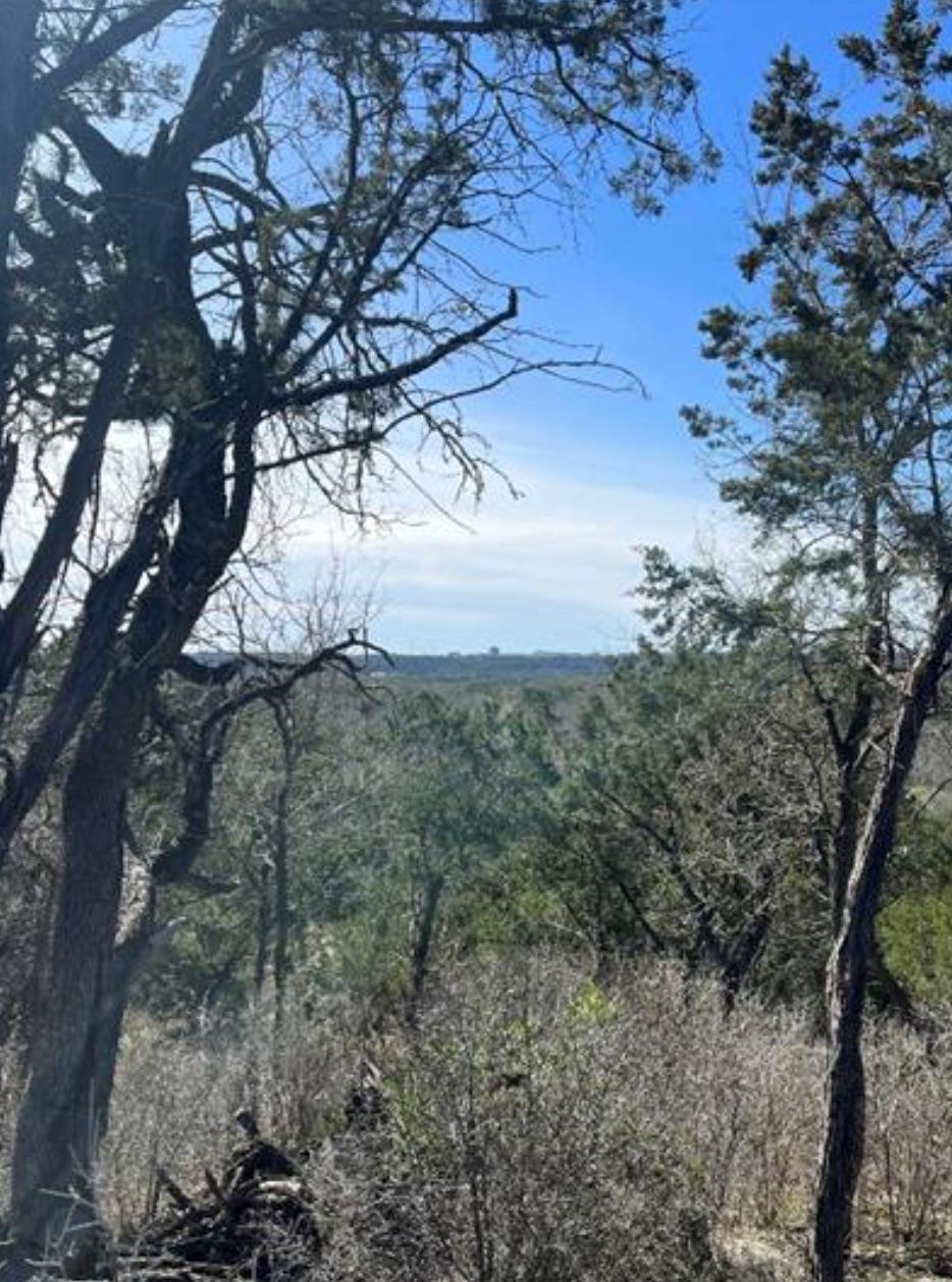 230 Six Pines Rd, San Marcos, TX 78666