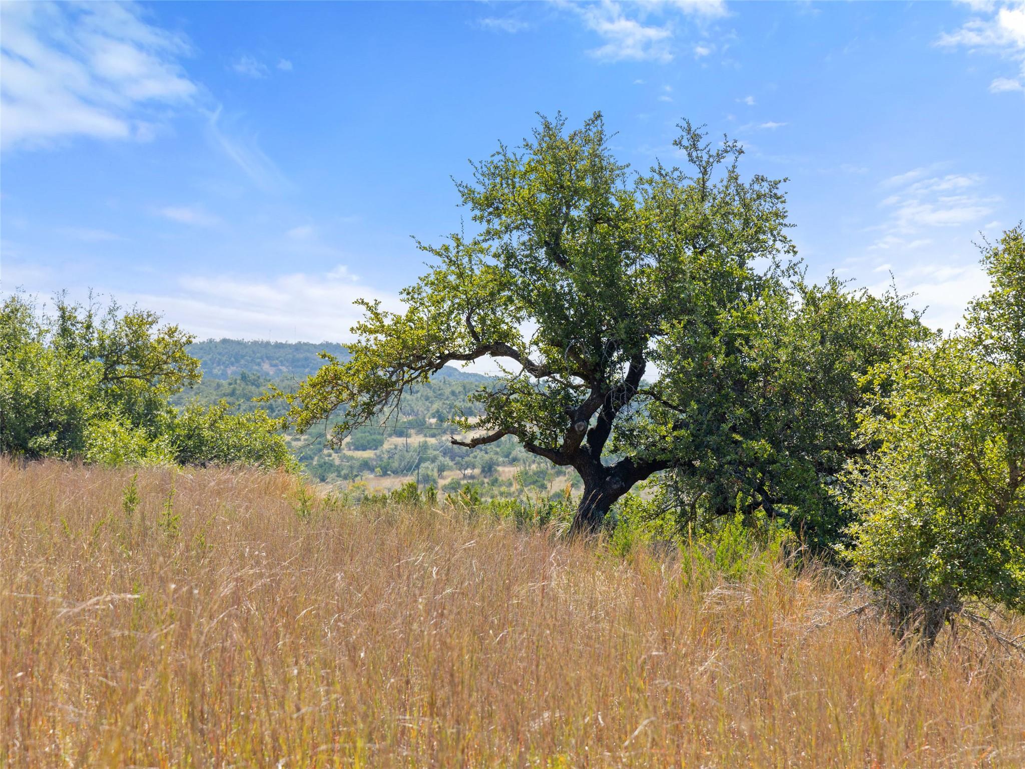 5818 Ranch Road 165, Blanco, TX 78606