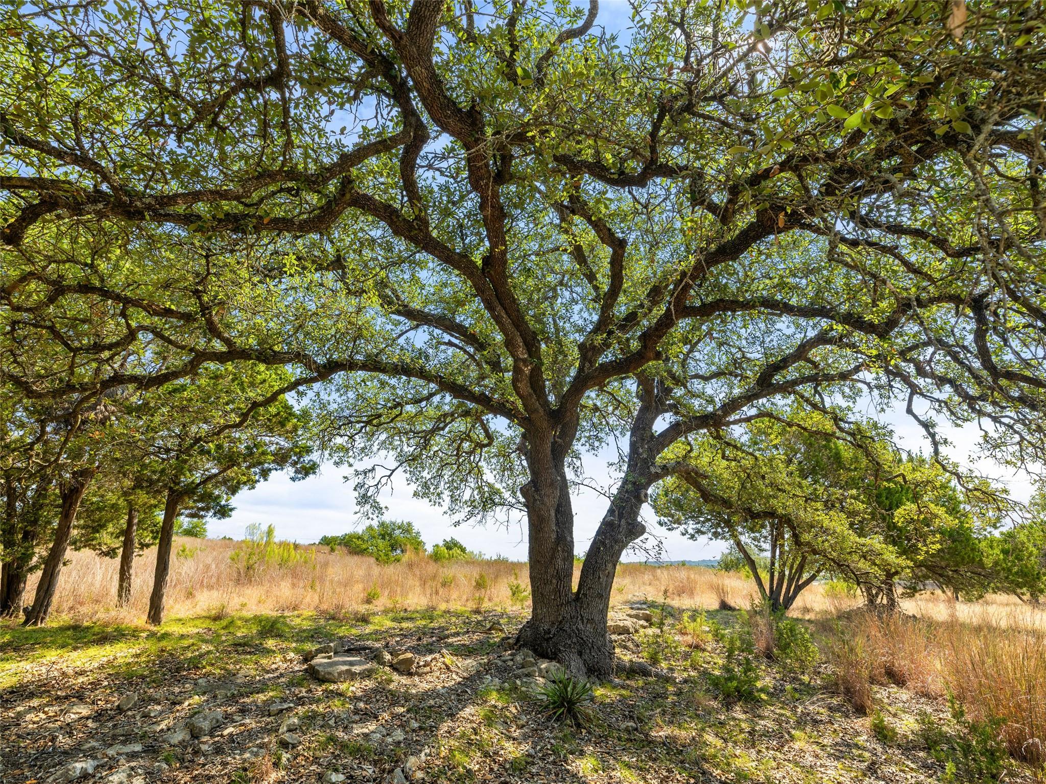 5818 Ranch Road 165, Blanco, TX 78606