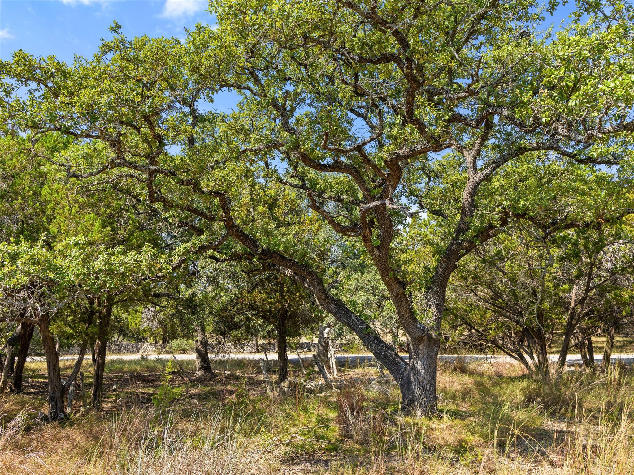 5818 Ranch Road 165, Blanco, TX 78606