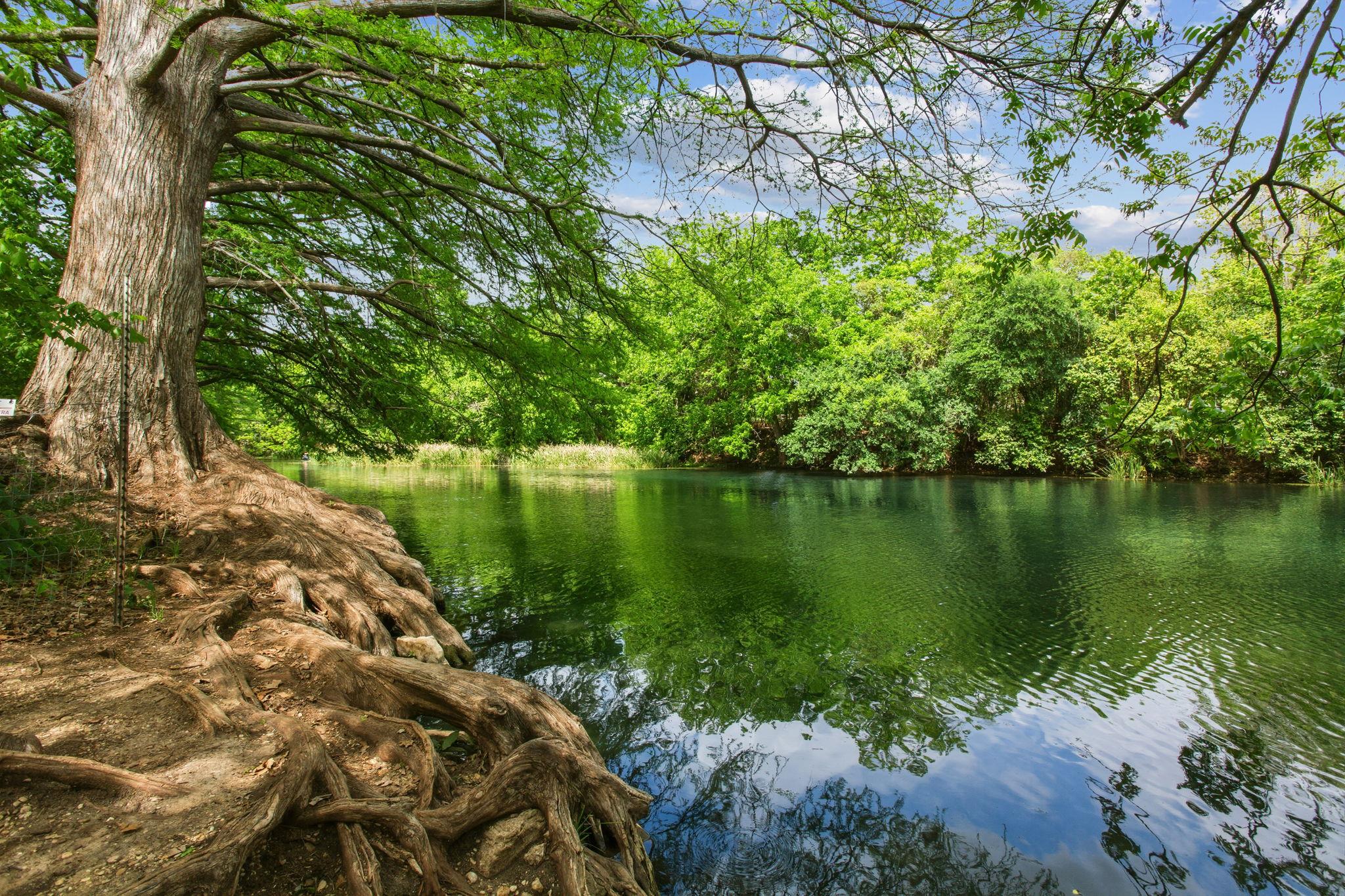 1038 Field St, San Marcos, TX 78666