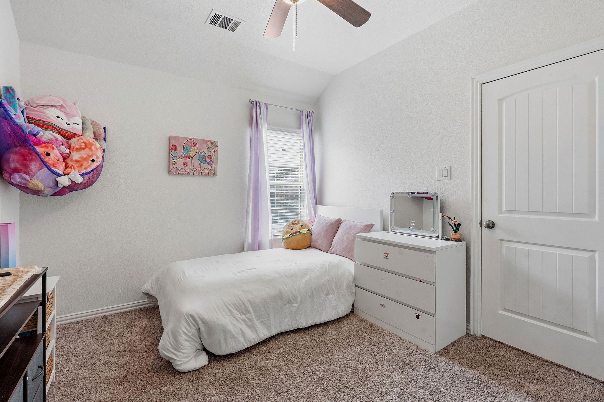 145 Plantain Dr, Hutto, TX 78634