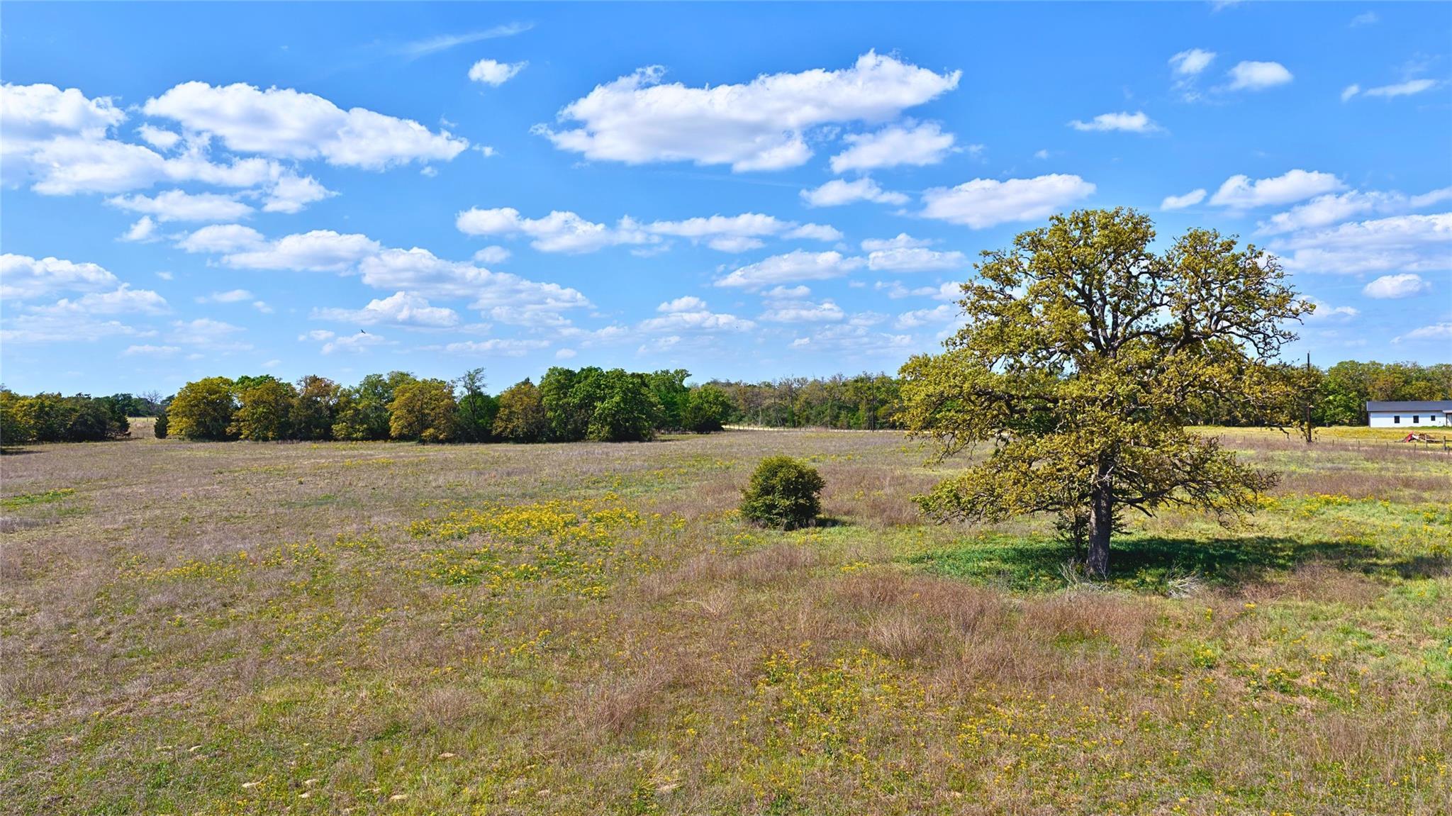 TBD Legacy Road (10.8 Acres), Caldwell, TX 77836