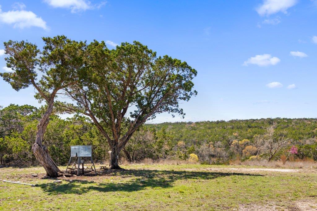 582 Delaware Creek Rd, Blanco, TX 78006