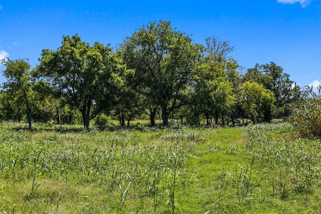 440 Chimney Valley Rd, Blanco, TX 78606