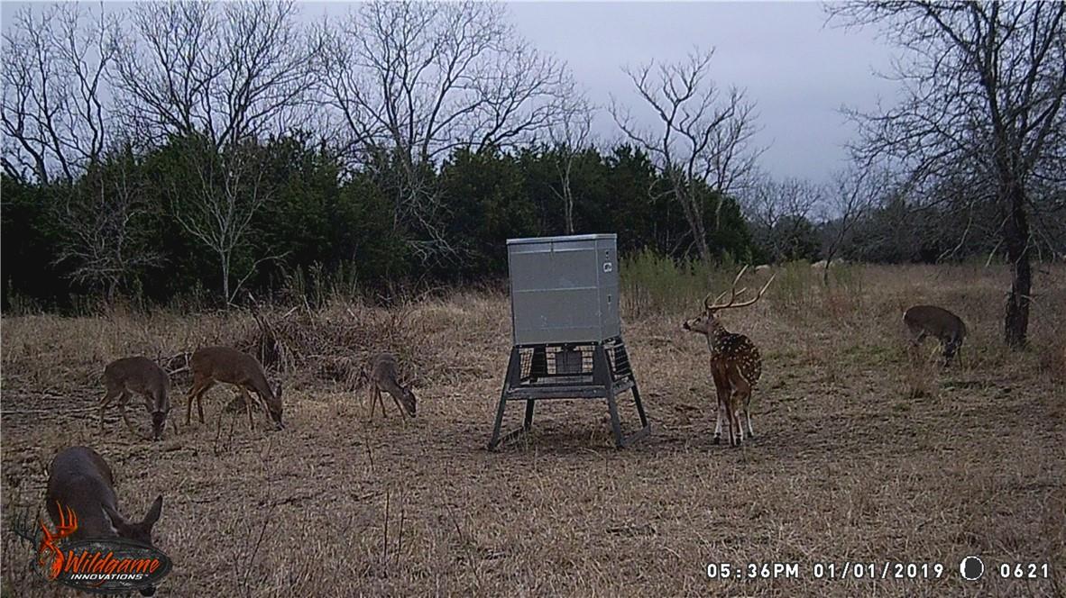 440 Chimney Valley Rd, Blanco, TX 78606