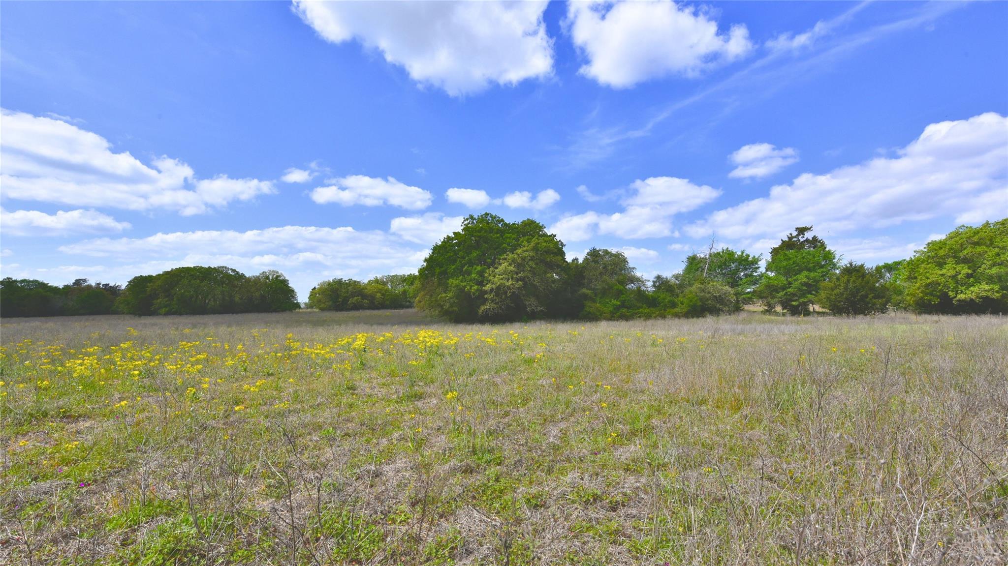 TBD Legacy Road (10.4 acres), Caldwell, TX 77836