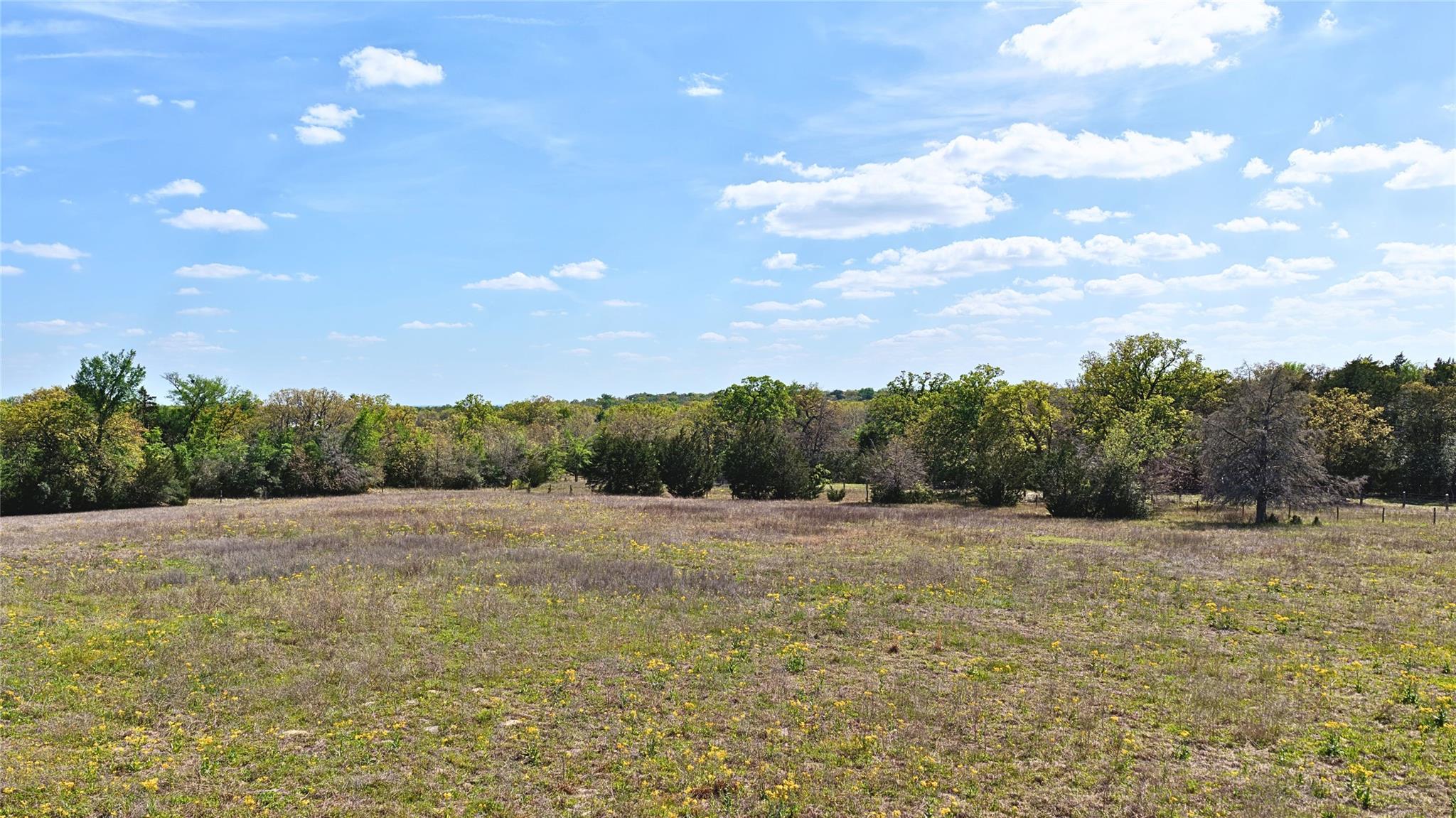 TBD Legacy Road (10.4 acres), Caldwell, TX 77836
