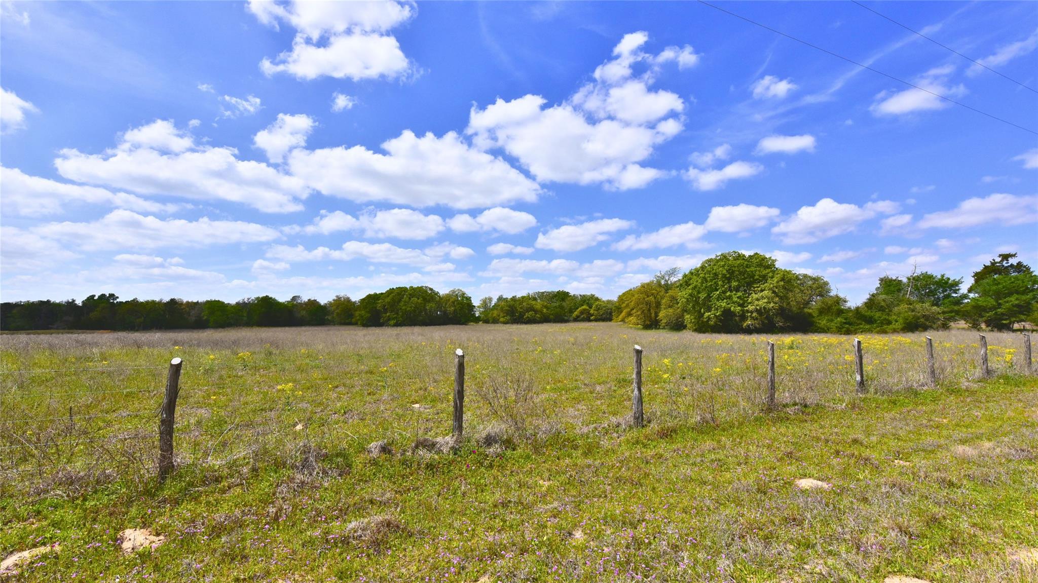 TBD Legacy Road (10.4 acres), Caldwell, TX 77836