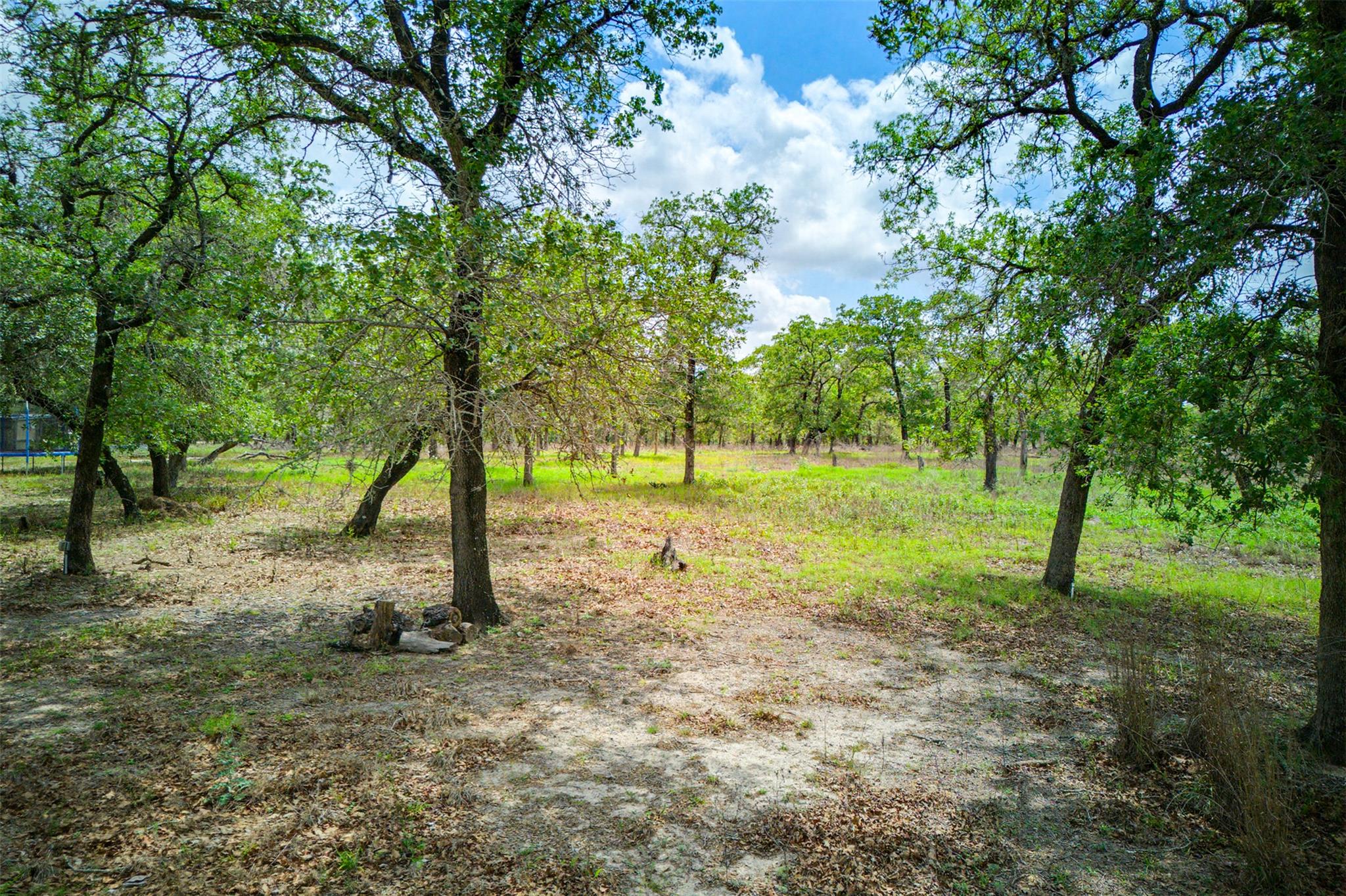 501 Turkey Tree Trl, Seguin, TX 78155