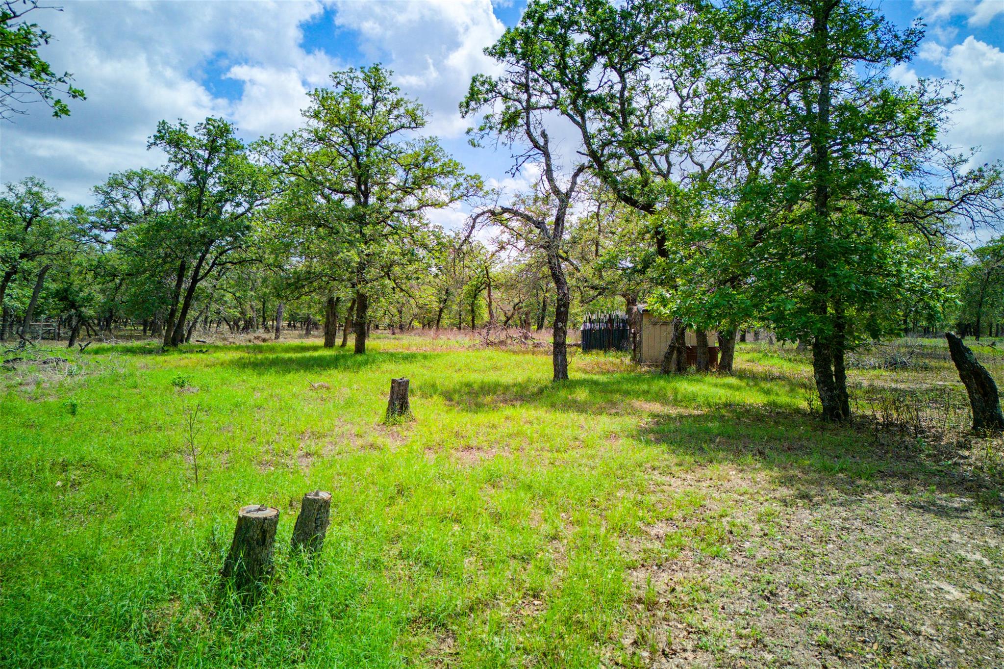501 Turkey Tree Trl, Seguin, TX 78155