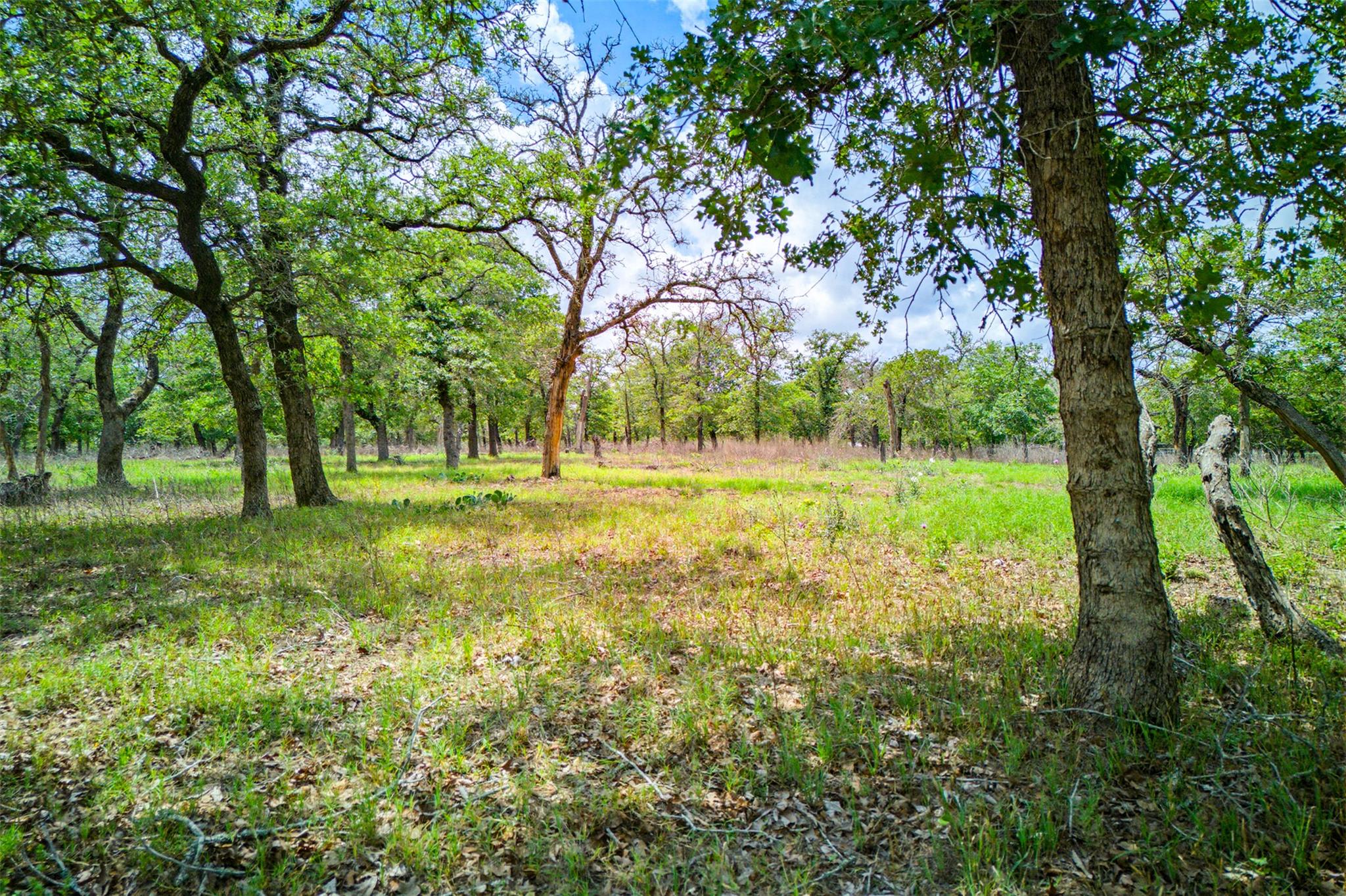 501 Turkey Tree Trl, Seguin, TX 78155