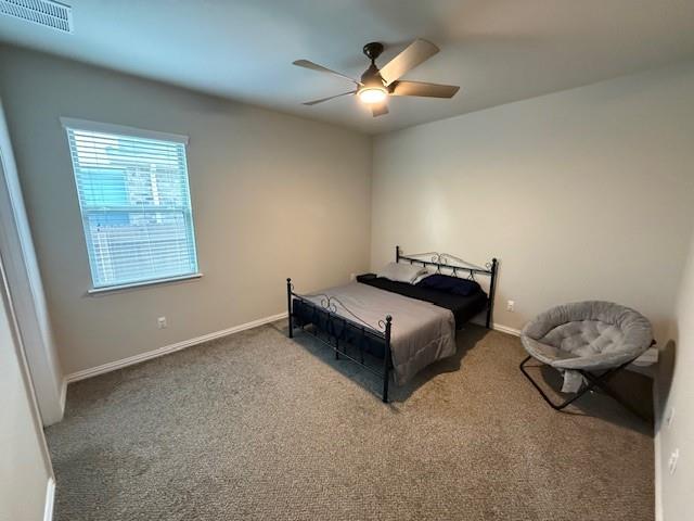 505 Peregrine Way, Leander, TX 78641