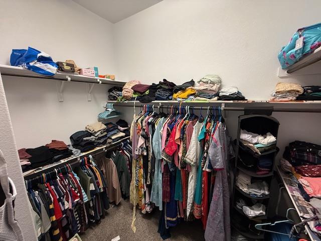 505 Peregrine Way, Leander, TX 78641