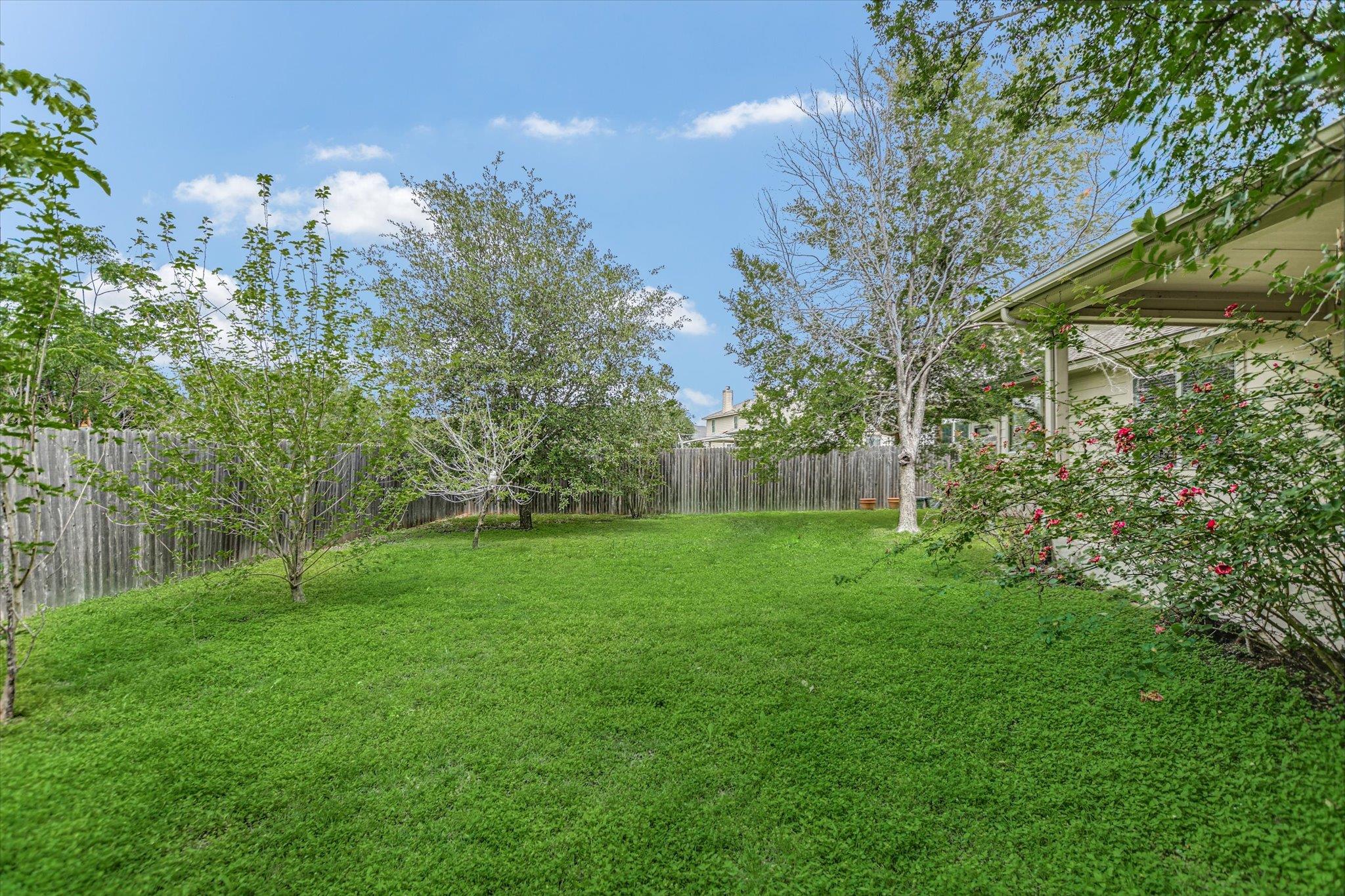 319 Lone Star Blvd, Hutto, TX 78634