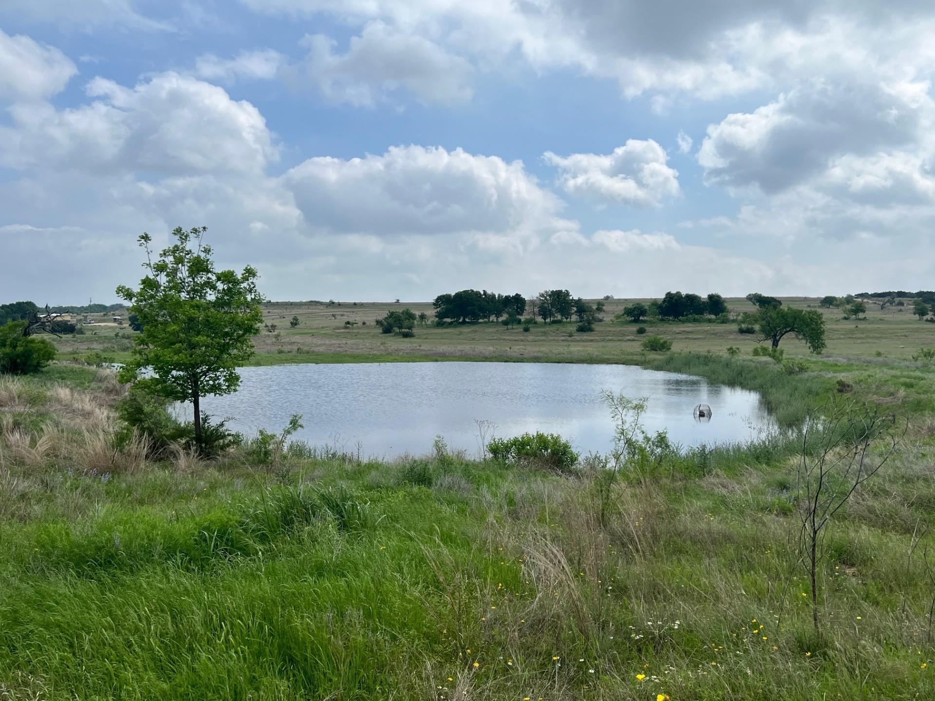 4847 CR 3300, Kempner, TX 76539