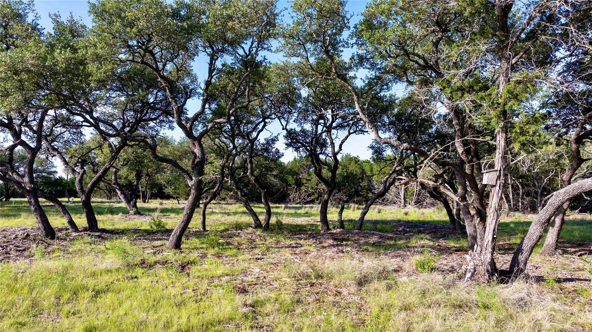 Lot 33 Starfall Dr, Lampasas, TX 76550
