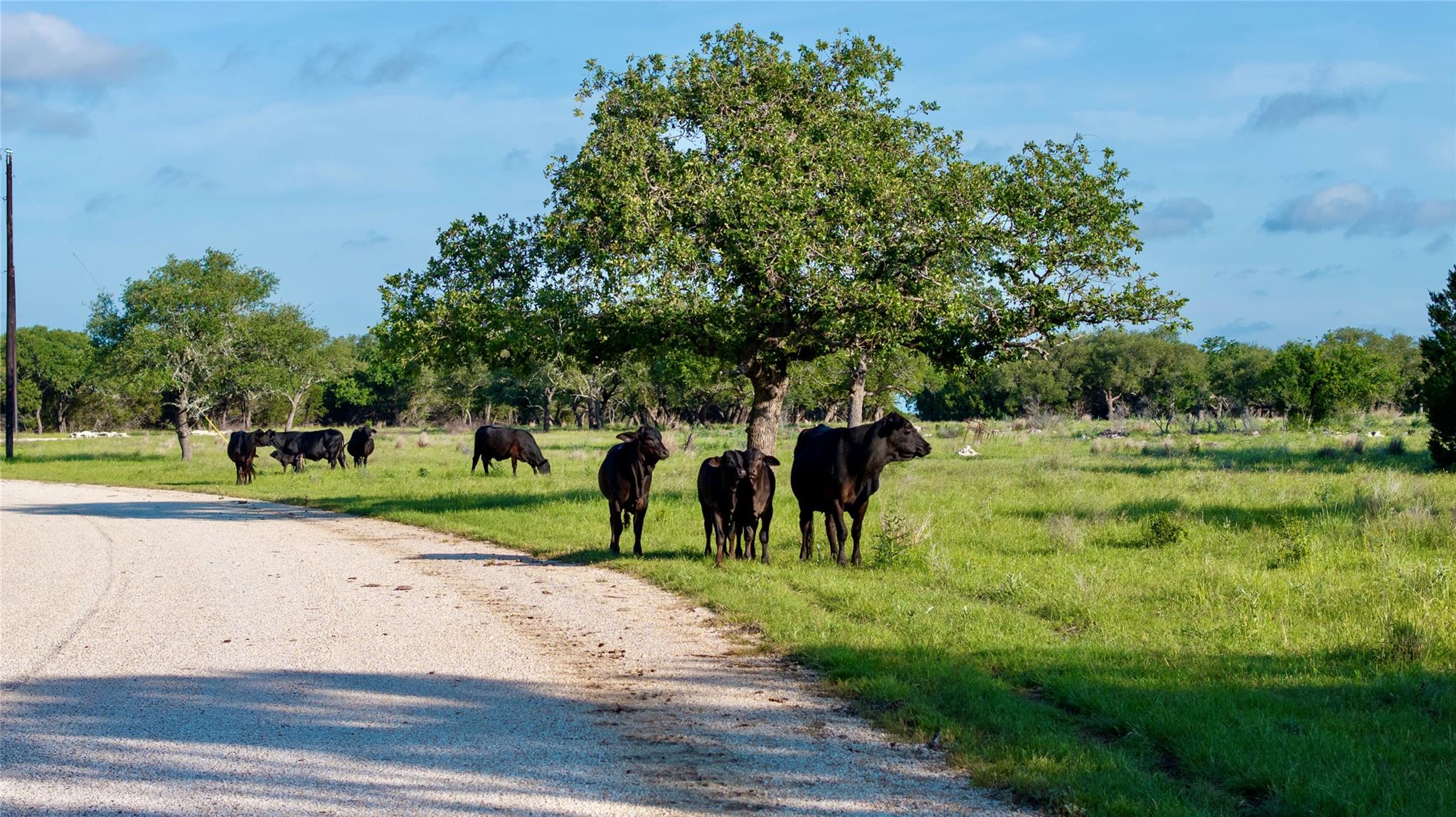 Lot 33 Starfall Dr, Lampasas, TX 76550