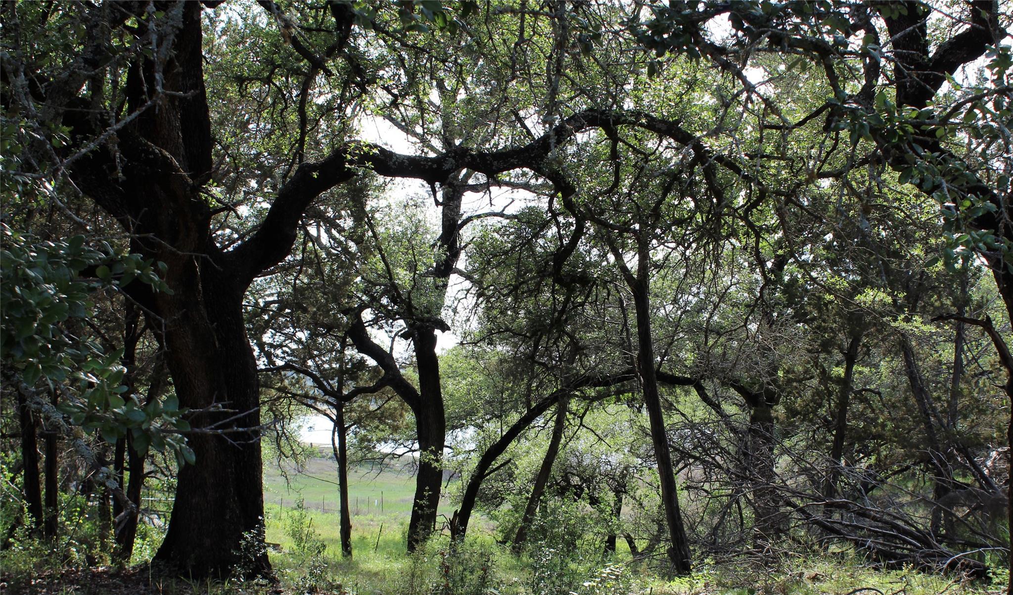 6708 Bar K Clubhouse Ct, Lago Vista, TX 78645