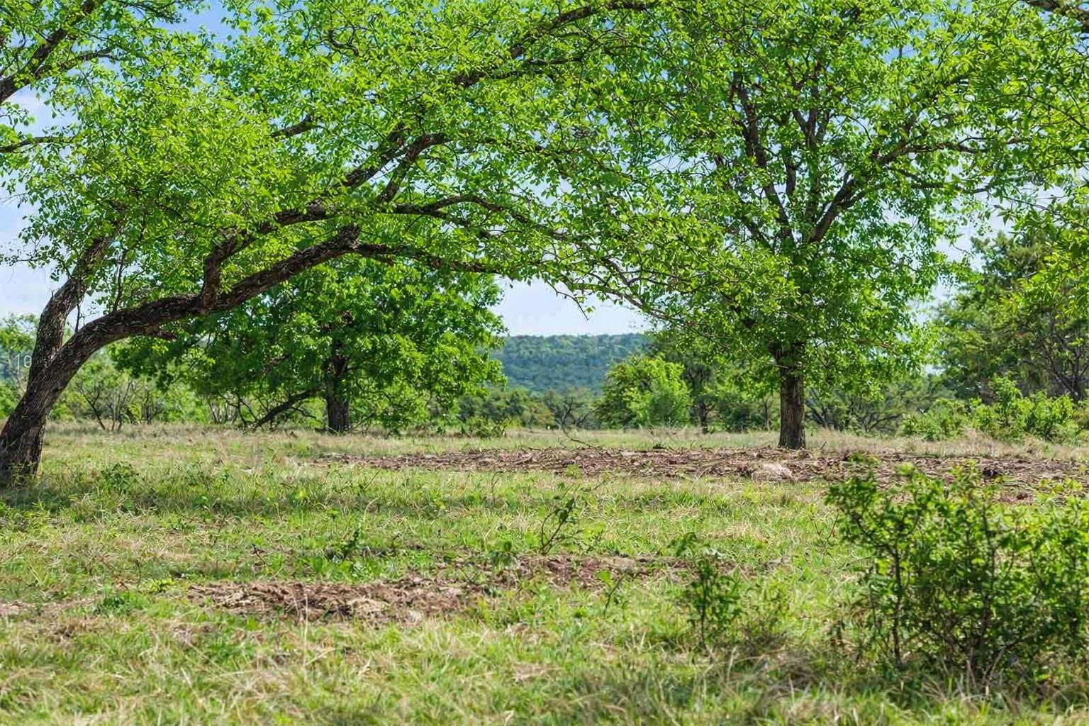 4772-10 County Road 340, Burnet, TX 78611